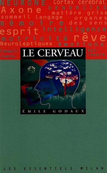 Le cerveau