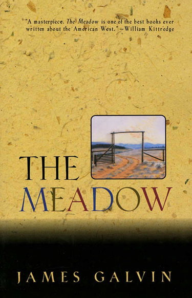 Couverture de The Meadow