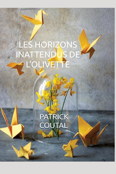 Couverture de LES HORIZONS INATTENDUS DEL'OLIVETTE