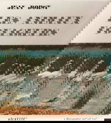 Les animaux voyageurs