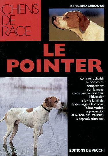 Le pointer
