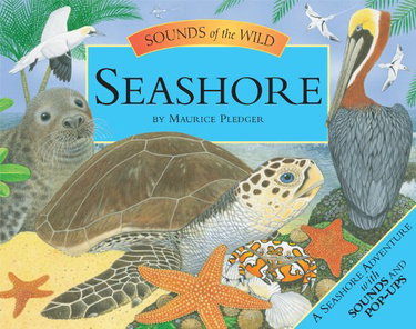 Couverture de Sounds Of The Wild Seashore