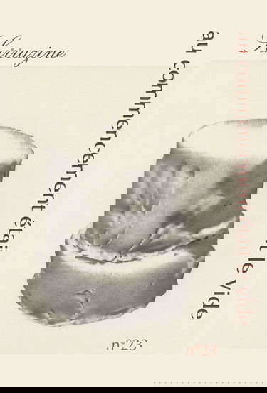 Sarrazine - n°23: au commencement était le vide