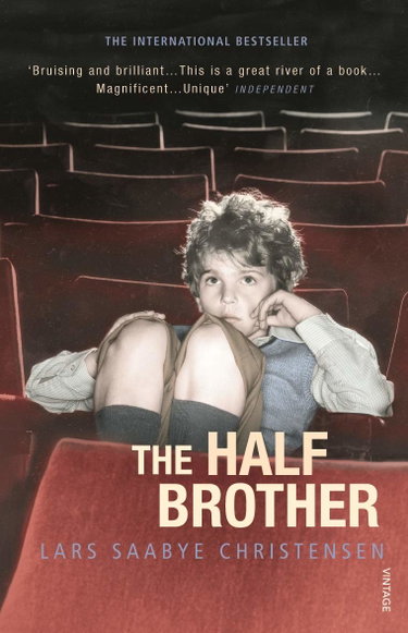 Couverture de The Half Brother
