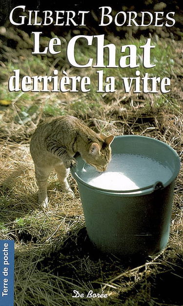 Le chat derrière la vitre