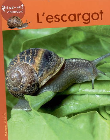 L'escargot
