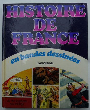 Histoire de France en bandes dessinées. Vol. 1. De Vercingétorix aux Vikings
