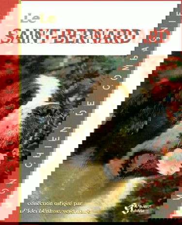 Le Saint-Bernard