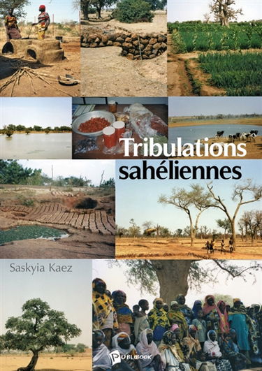 Tribulations sahéliennes