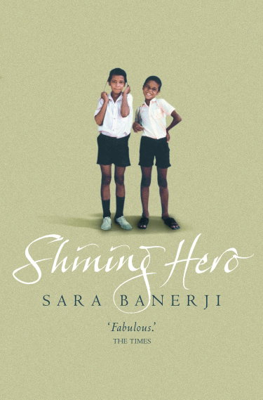 Couverture de Shining Hero