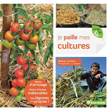 Je paille mes cultures : moins d'arrosage, moins d'herbes indésirables, des légumes tout propres