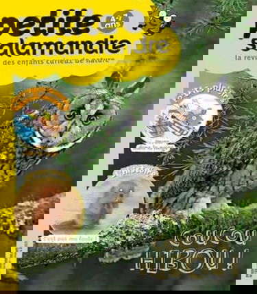 N°21 La petite salamandre