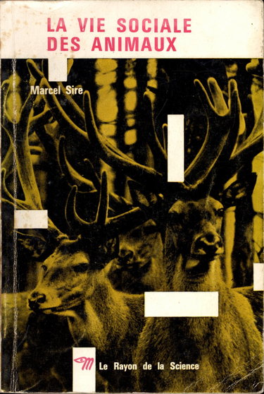 Couverture de La vie sociale des animaux