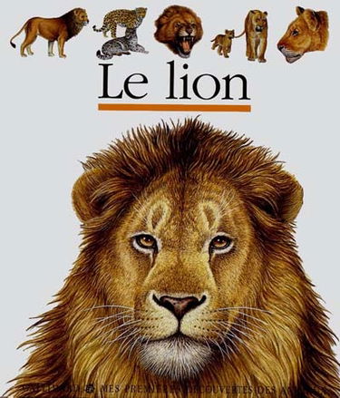 Le lion