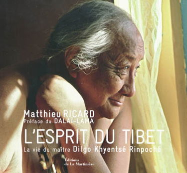 L'esprit du Tibet : la vie du maître Dilgo Khyentsé Rinpoché