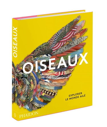 Couverture de Oiseaux : explorer le monde ailé