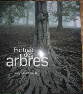 Les pilotes de la Grande porte