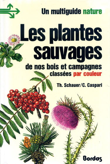 Les Plantes sauvages de nos bois et campagnes classés par couleur