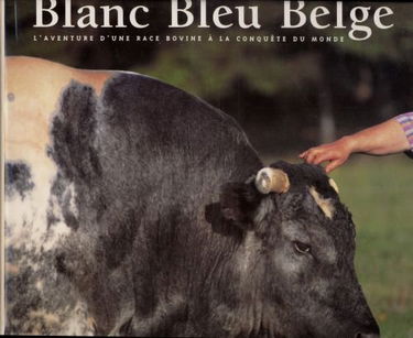 Blanc bleu belge