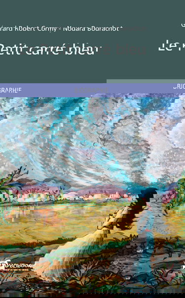 Le petit carré bleu