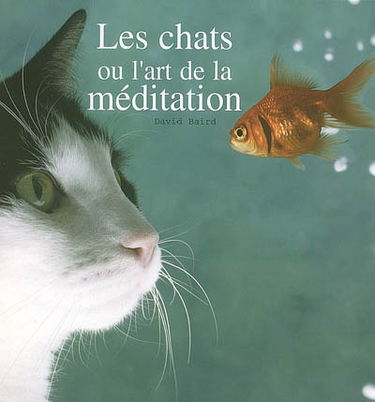 Les chats ou L'art de la méditation