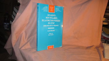 Les agents non titulaires de la fonction publique de l'Etat
