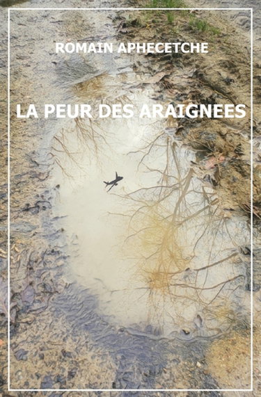 Couverture de La Peur des Araignées