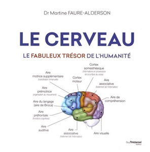 Le cerveau : le fabuleux trésor de l'humanité
