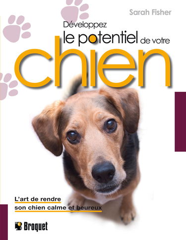 Développez le potentiel de votre chien
