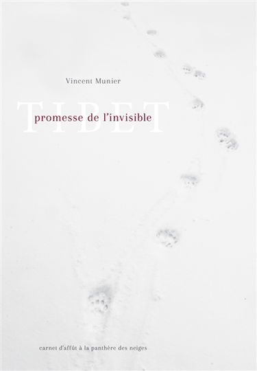 Tibet, promesse de l'invisible : carnet d'affût à la panthère des neiges