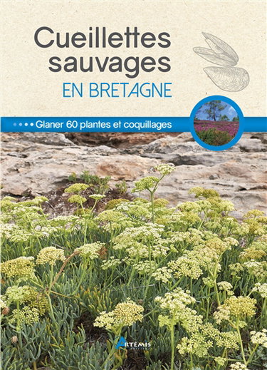 Couverture de Cueillettes sauvages en Bretagne : glaner 60 plantes et coquillages