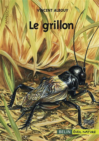 Le grillon