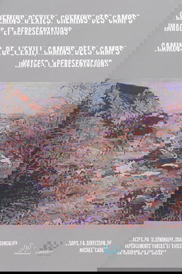 Chemins d'exils, chemins des camps : images et représentations : actes du 3e Séminaire transfrontalier Déplacements forcés et exils en Europe au XXe siècle, Perpignan, 1er et 2 mars 2012. Camins de l'exili, camins dels camps : imatges i representacions