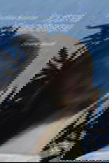 Noël : quand le mythe devient réalité