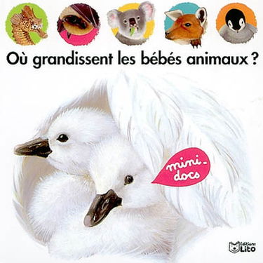 Où grandissent les bébés animaux ?