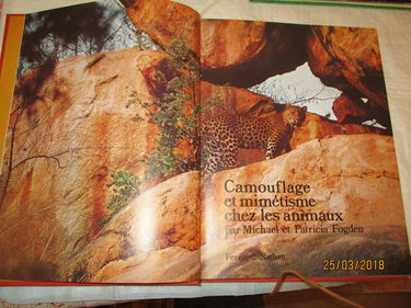 Camouflage et mimétisme chez les animaux