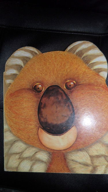 Le koala (Animaux merveilleux)