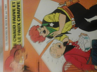 LE CHAUD FAUVE ET LE FAUX CHAUVE.