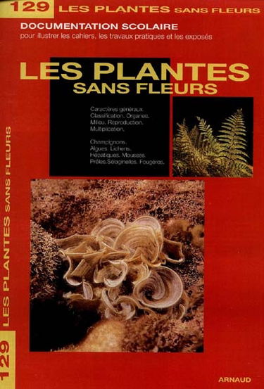 Plantes sans fleurs