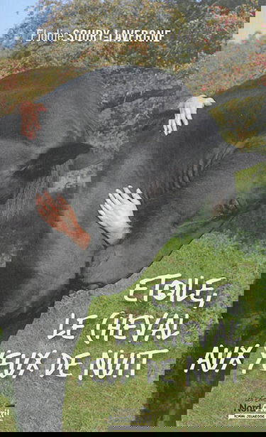 Etoile, le cheval aux yeux de nuit