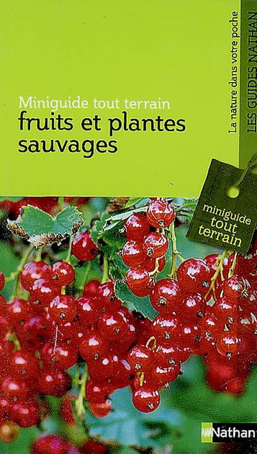 Fruits et plantes sauvages