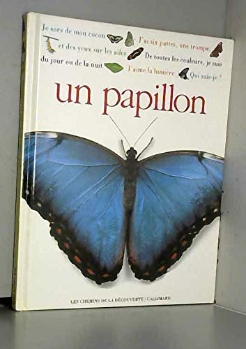 Qui suis-je ? Un papillon