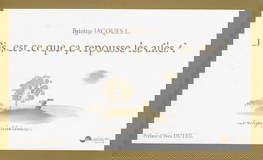 Dis, est-ce que ça repousse les ailes ? : un voyage intérieur...