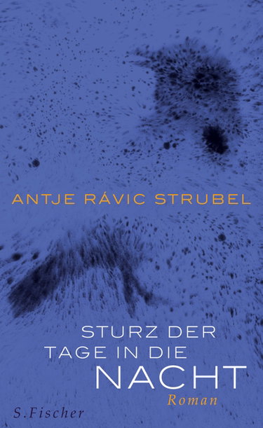 Couverture de Sturz der Tage in die Nacht