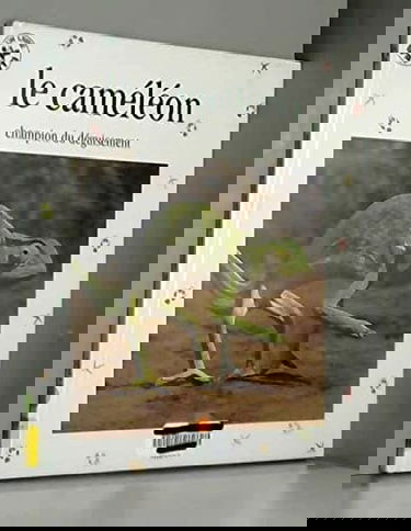 Le Cameleon. Acrobate Multicolore