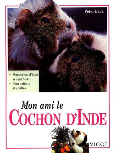 Mon ami le cochon d'Inde