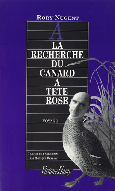 A la recherche du canard à tête rose