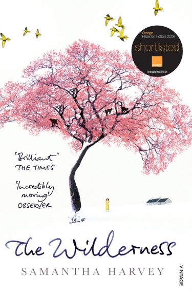 Couverture de The Wilderness