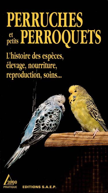 Perruches et petits perroquets