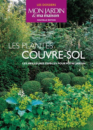 Les plantes couvre-sol : les meilleures espèces pour votre jardin
